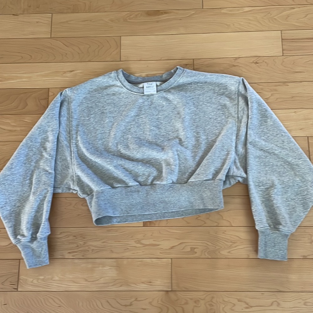 Grey cropped TNA sweatshirt
